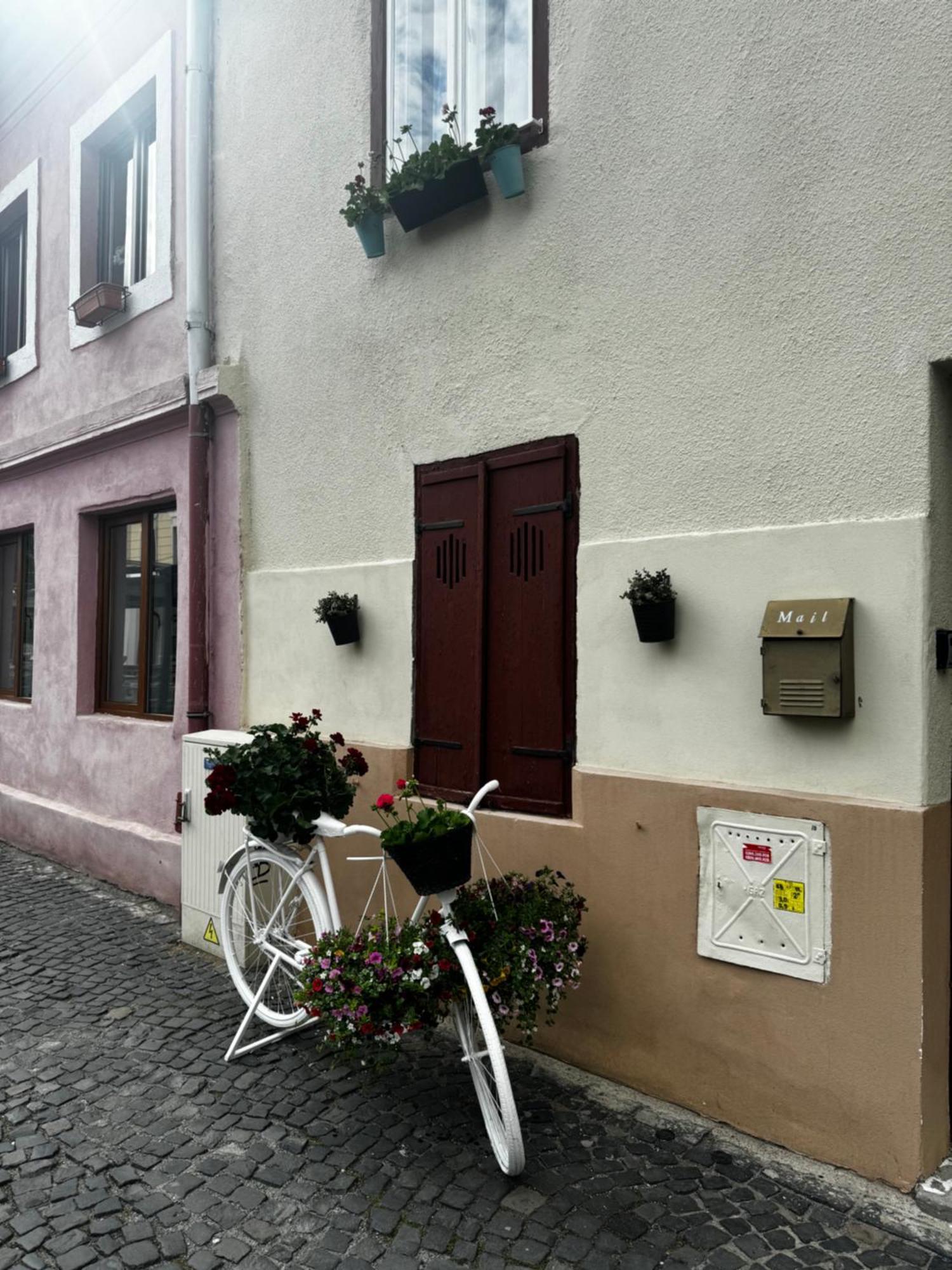 Harteneck Apartments Sibiu Exterior photo