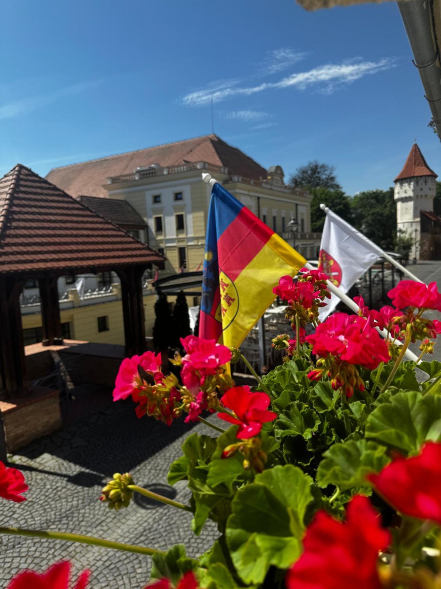 Harteneck Apartments Sibiu Exterior photo